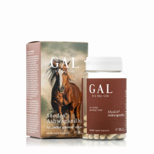  GAL Sensoril®Ashwagandha 60 kapszula vitamin és táplálékkiegészítő