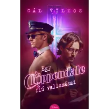Gál Vilmos - Egy Chippendale-fiú vallomásai egyéb könyv