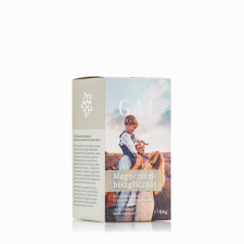 Gal Vital SynergyTech Kft. GAL Magnézium-biszglicinát 90db vitamin és táplálékkiegészítő