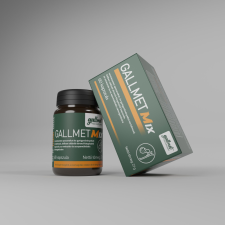 Gallmet-Mix-60 gyógynövény kapszula 60 db gyógyhatású készítmény