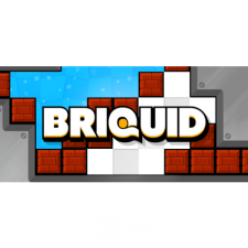 Gamious Briquid (PC - Steam Digitális termékkulcs) videójáték