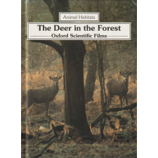 Gareth Stevens Publishing The Deer in the Forest antikvárium - használt könyv