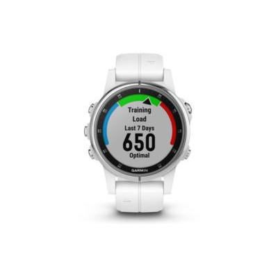 garmin fenix s plus