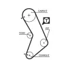 Gates Fogasszíj 5545XS