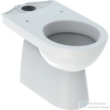 Geberit SELNOVA alsó kifolyású,mélyöblítéses monoblokkos wc,fehér 500.151.01.7 szaniter
