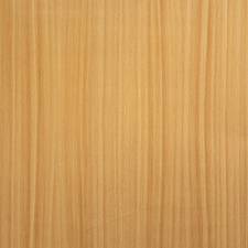 Gekkofix Gekkofix FIR NATURAL öntapadós tapéta 45 cm x 15 m tapéta, díszléc és más dekoráció