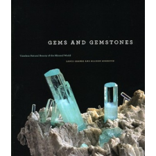 Gems and Gemstones – Lance Grande,Allison Augustyn idegen nyelvű könyv