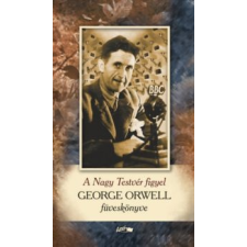 George Orwell A Nagy Testvér figyel irodalom