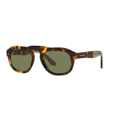 Giorgio Armani AR8173-50922A Férfi napszemüveg