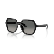 Giorgio Armani AR8193U 500119 BLACK GRADIENT GREY napszemüveg