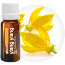 Gladoil Ylang Ylang illóolaj Gladoil / Fleurita 100% tisztaságú hígítatlan illó olaj 10 ml illóolaj