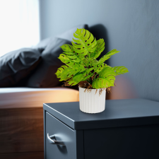 Globiz International Kft. Műnövény dekoráció - monstera - 22 x 8,5 cm dekoráció