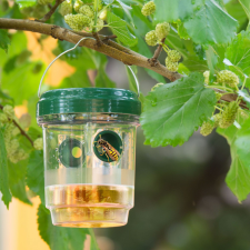 Globiz Szolár rovarcsapda felakasztható elektromos állatriasztó