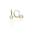 Gold earrings for ladies AU77773 - 14 karátos arany női fülbevaló hagyományos zárral