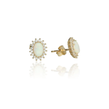 Gold earrings for ladies AU79439 - 14 karátos arany női beszúrós fülbevaló fülbevaló