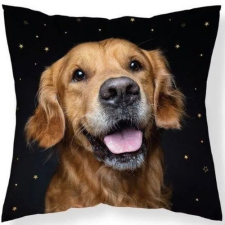  Golden Retriever Díszpárnahuzat 40x40 cm lakástextília