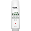 Goldwell Dualsenses Curls & Waves Hydrating Shampoo 250 ml