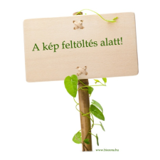  GREENMARK BIO QUINOA FEHÉR biokészítmény