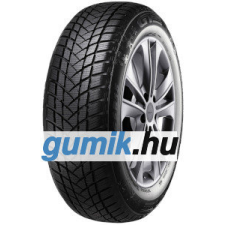 GT Radial WinterPro2 ( 195/60 R15 88T ) téli gumiabroncs