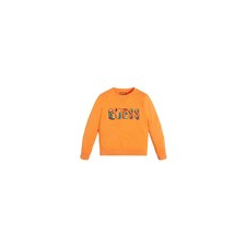 Guess Pulóverek SWEAT Narancssárga 16 ans gyerek pulóver, kardigán