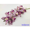  Gumis cymbidium 10 fejes orchidea ág 75 cm - Fehér--Lila Pöttyös