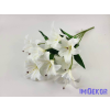 Gumis liliom 9 ágú csokor 56 cm - Fehér