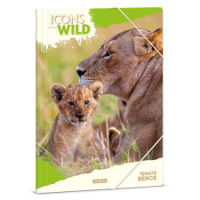  Gumis mappa ARS UNA A/4 Icons of the Wild-Lions mappa