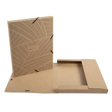  Gumis mappa, karton, A4, 25 mm, EXACOMPTA &quot;Eterneco&quot;, vegyes minta mappa