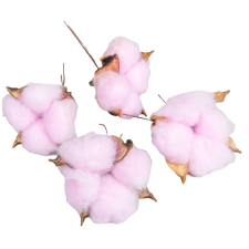  Gyapot termés egész vil.rózsaszín 15db-os dekorációs kellék