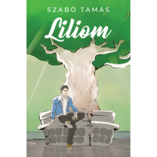 Gyémántfelhő Kiadó Liliom regény