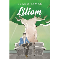 GYÉMÁNTFELHŐ Liliom regény