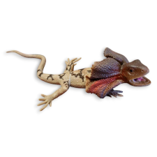 Gyík Agama gumi 18cm játékfigura