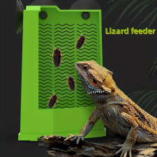  Gyík etető tapadókorongokkal hüllőfelszerelés