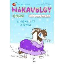 Gyükér Zsófia ev. Hókavölgy 9. - Még nincs itt a hó vége gyermek- és ifjúsági könyv