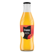  Gyümölcslé CAPPY Alma 100% üveges 0,25L DRS üdítő, ásványviz, gyümölcslé