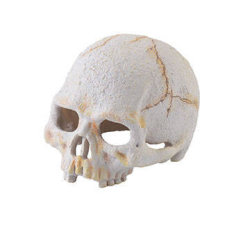 Hagen Exo Terra Primate Skull - búvóhely (koponya formájú) terráriumokba hüllőfelszerelés