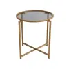  Hanah Home Coffee Table Gold Fume S407K - Gold