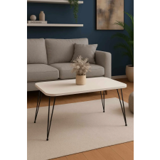  Hanah Home Dohányzóasztal Fehér Fekete Peka247P - Fehér bútor