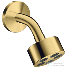 Hansgrohe AXOR ONE Ecosmart fejzuhany zuhanykarral,1 jet,polírozott arany hatású 48490990 csaptelep