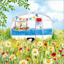 Happy Camping papírszalvéta 33x33cm, 20db-os papírárú, csomagoló és tárolóeszköz