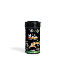 Haquoss GECKO GOURMET | BANANA &amp; ANANAS - 250ml/100g hüllőeledel