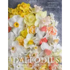 HarperCollins Publishers Narcissus | Naomi Slade,Georgianna Lane egyéb könyv