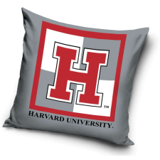 Harvard párnahuzat 40*40 cm lakástextília