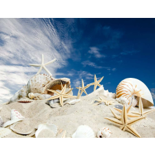  Háttérkép Strand csillagokkal, 400 x 250 cm tapéta, díszléc és más dekoráció