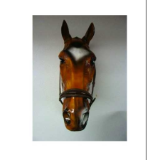 HB 420  Edző orrpánt barna Pony   Ló felszerelések  orrszíj lófelszerelés