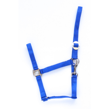 HB 705  Nylon kötőfék gazdaságos kék csikó ló felszerelés lószerszám  kötőfék lófelszerelés