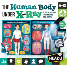 Headu : Az emberi test röntgen alatt logikai puzzle kreatív és készségfejlesztő