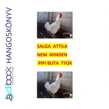 HELMA Nem minden Pipi buta tyúk egyéb e-könyv