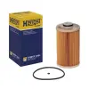 HENGST FILTER Üzemanyagszűrő E490KP D484