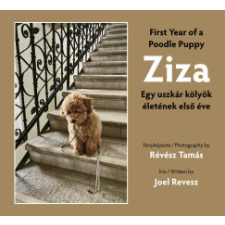 Herald Európa Kft. Ziza gyermek- és ifjúsági könyv